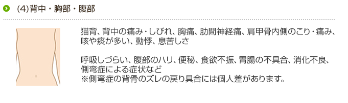 背中の症状は猫背と関係があります。猫背をまっすぐするには背骨の調整が必要です。